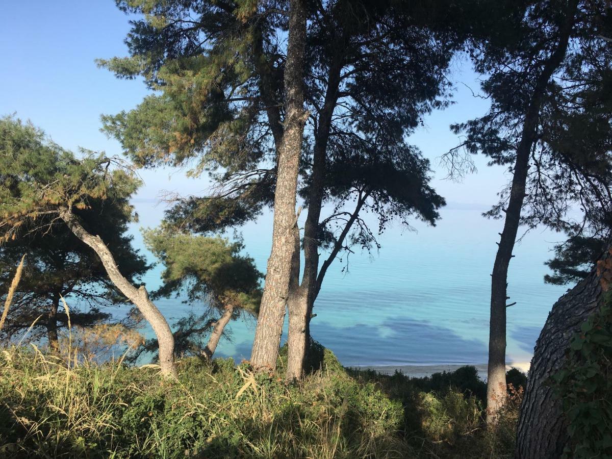 Villa Adria Kriopigi Esterno foto